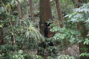 5月12日　日曜定例会5