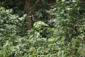 ９月21日　土曜定例会3