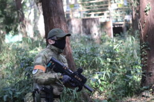 11月12日　火曜定例会