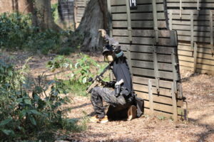 3月23日　日曜定例会5