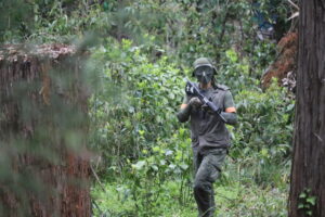 4月13日　日曜定例会