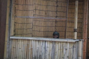 7月29日　火曜定例会