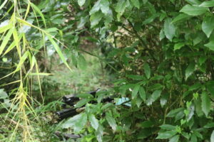 ７月19日　土曜定例会2