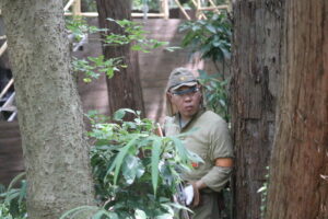 ８月17日　日曜定例会3