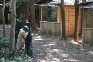 10月8日　水曜定例会